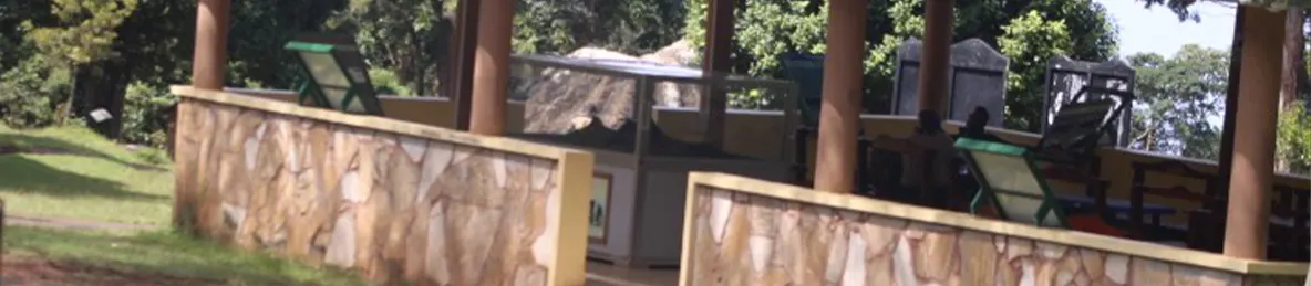 Kilimanjaro Marangu Route 